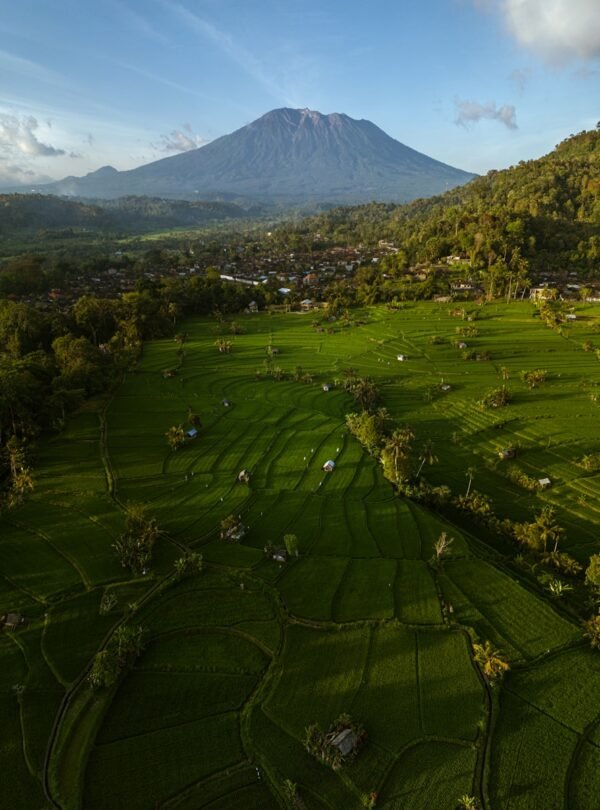 An aerial view of a rice field with a mountain in the background